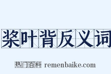 桨叶背反义词是什么意思的图片